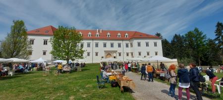 negova 